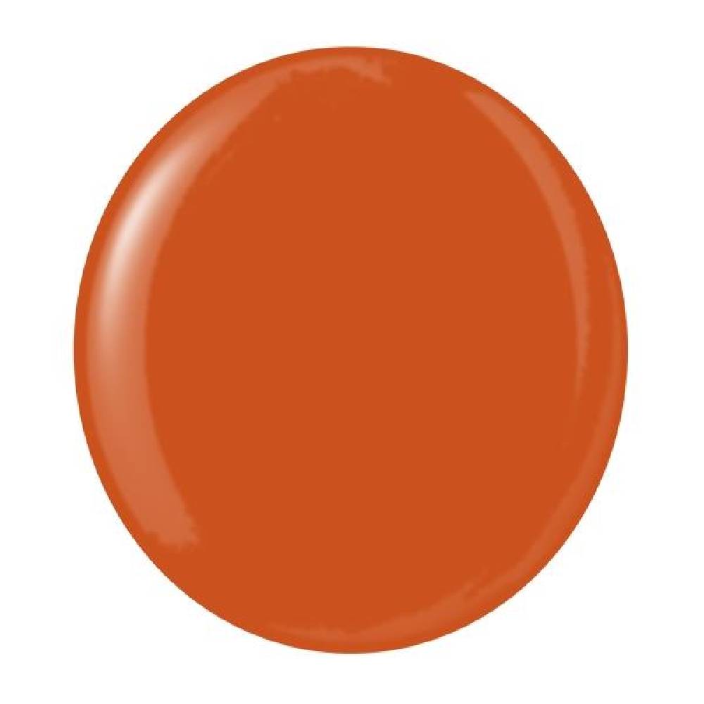 TESTORS AZTEK - Opaque Orange