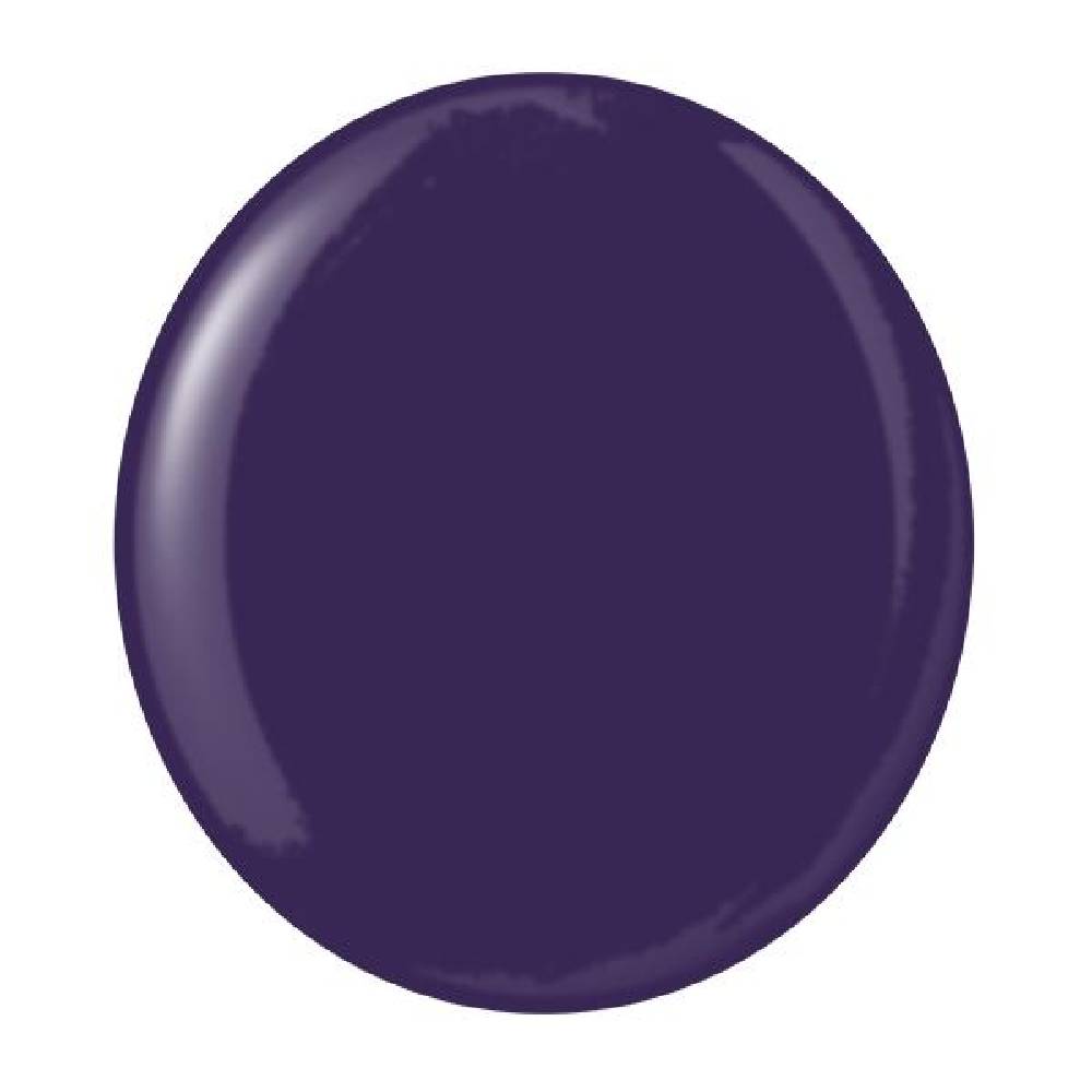 TESTORS AZTEK - Opaque Purple