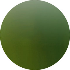 VETRO Black Line Gel Polish - B458 Tea Tree Oil