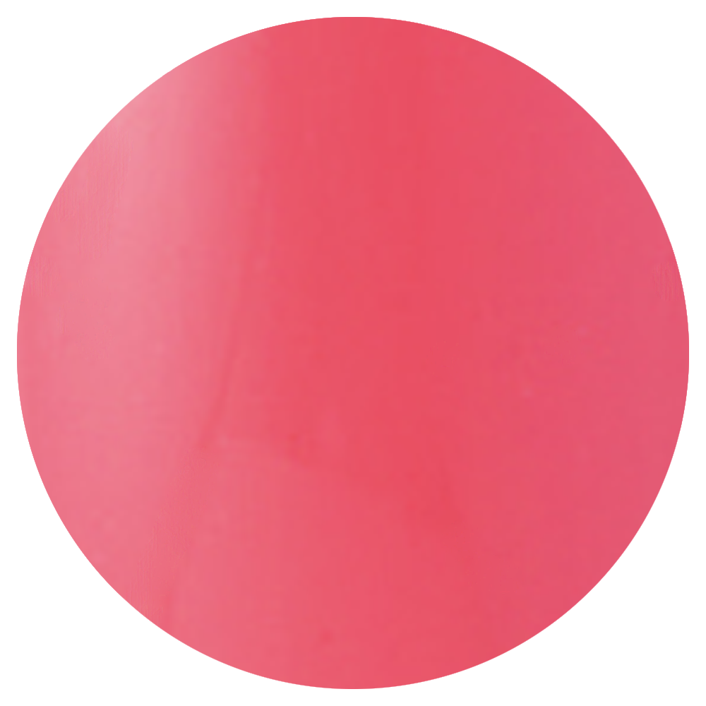 VETRO No. 19 Gel Pods - 206 Lady Pink *