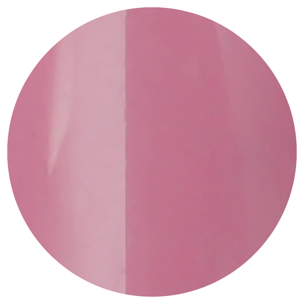 VETRO No. 19 Gel Pods - 341 Pretty Woman **