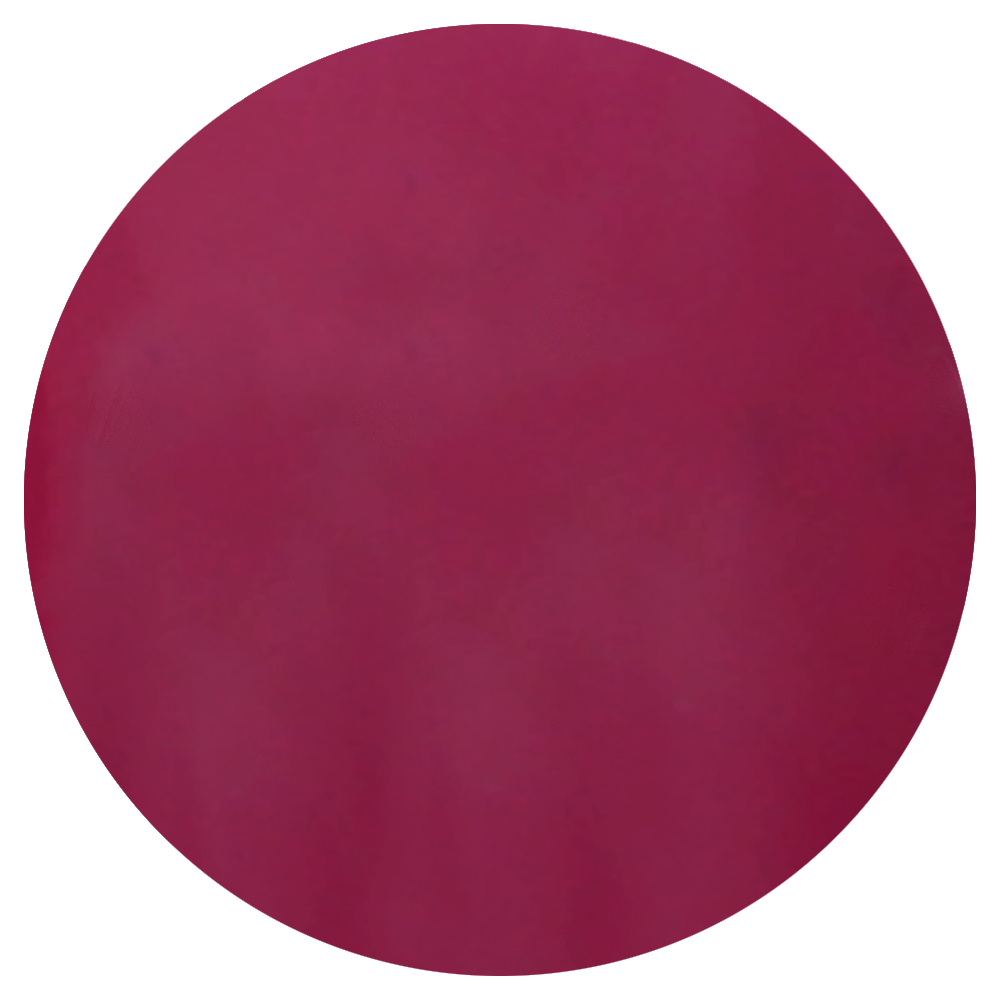 VETRO No. 19 Gel Pods - 343 It Girl **