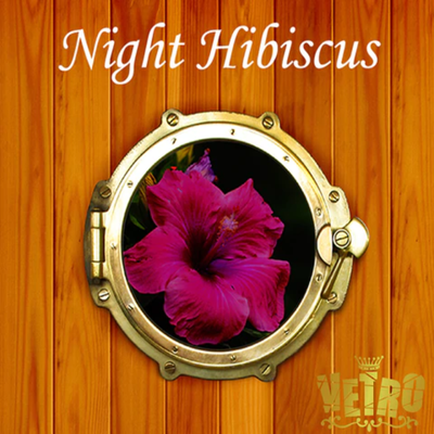 VETRO No. 19 Gel Pods - 323 Night Hibiscus **